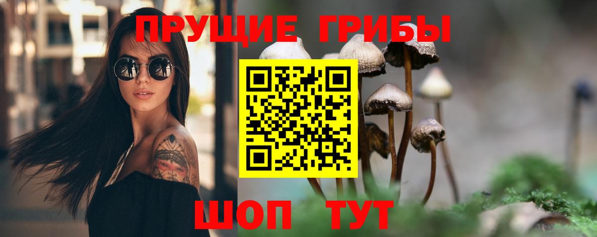 Галлюциногенные грибы MAGIC MUSHROOMS  Галлюциногенные грибы Psilocybine cubensis  Сыктывкар  Вход с VPN 
